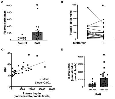 A potential adverse role for leptin and cardiac leptin receptor in the right ventricle in pulmonary arterial hypertension: effect of metformin is BMPR2 mutation-specific